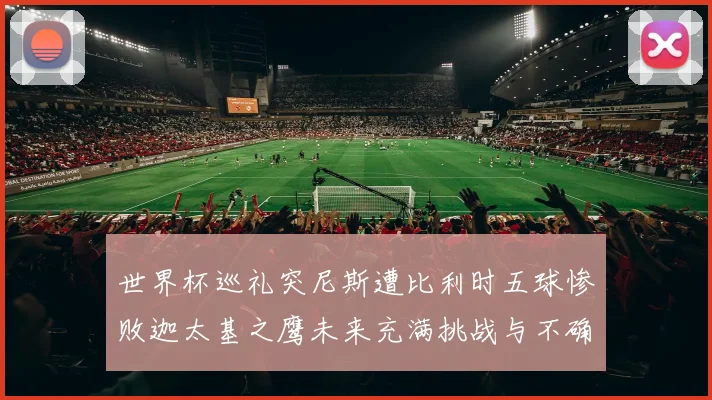世界杯巡礼突尼斯遭比利时五球惨败迦太基之鹰未来充满挑战与不确定性